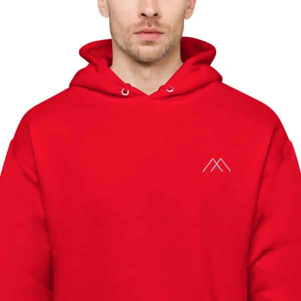 Unisex fleece hoodie - Austris Music - Image 6