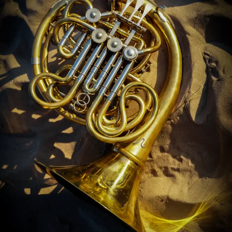Austris Apenis's French horn lying in the sand